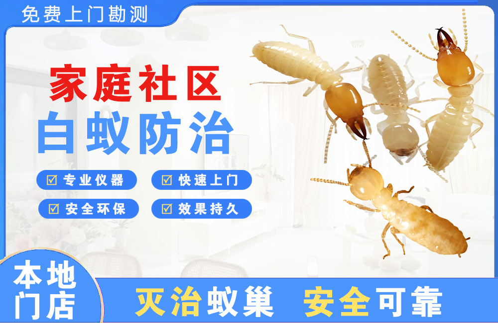 温岭家庭社区白蚁防治