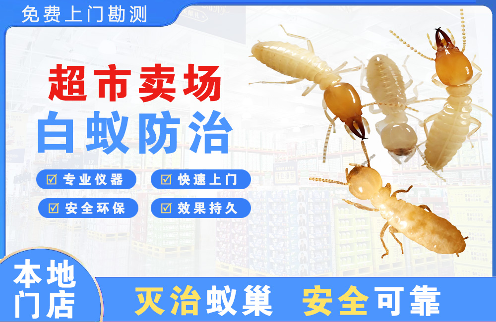 温岭超市卖场白蚁防治