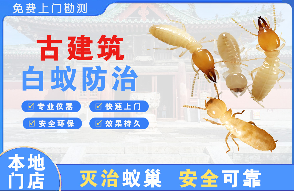 温岭古建筑白蚁防治