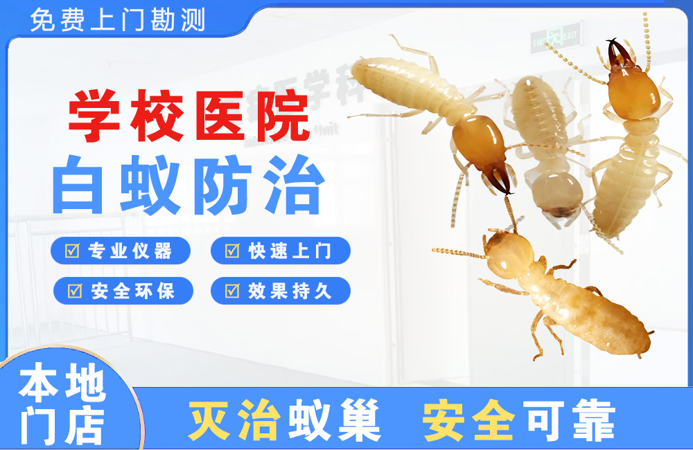 温岭学校医院白蚁防治
