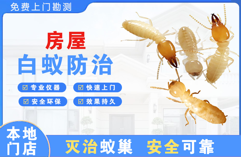 温岭房屋白蚁防治