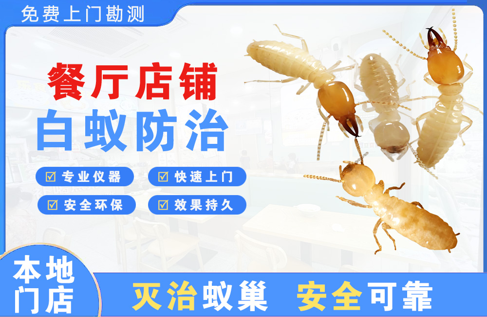 温岭餐厅店铺白蚁防治